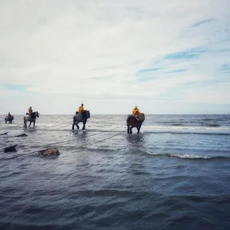Διαμέρισμα In With Sea View